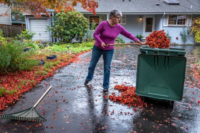 Fall Lawn Debris Cleanup