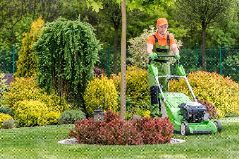 Lawn Care And Maintenance