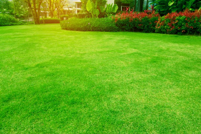 Residential Lawn Care
