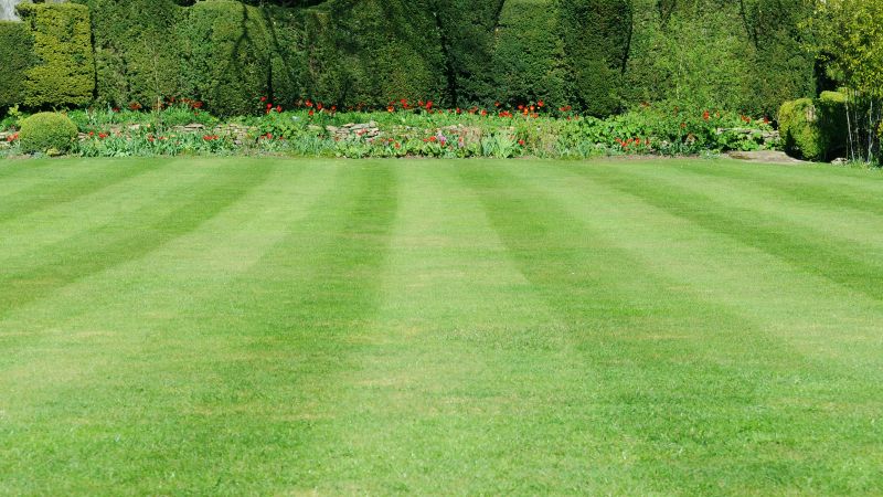 Trimmed Lawn Edges