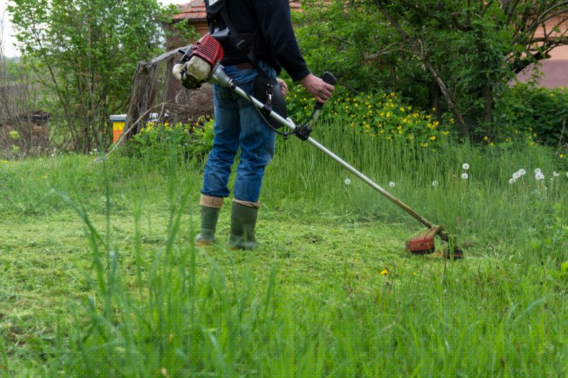 Spring Grass Trimming