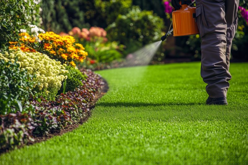 Spring Lawn Care