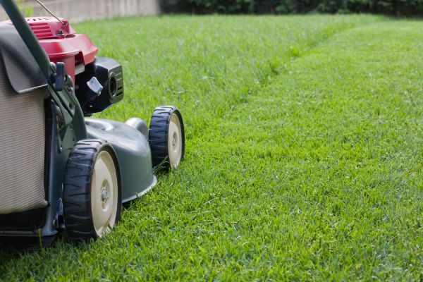 Cost of Lawn Care Service in Jonesboro
