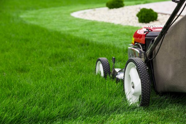Cost of Mowing Service in Jonesboro