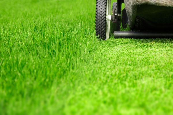 Cost of Weekly Lawn Care in Jonesboro