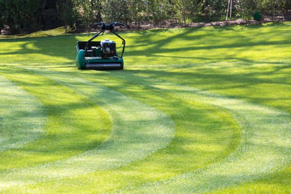 Cost of Business Lawn Mowing in Jonesboro